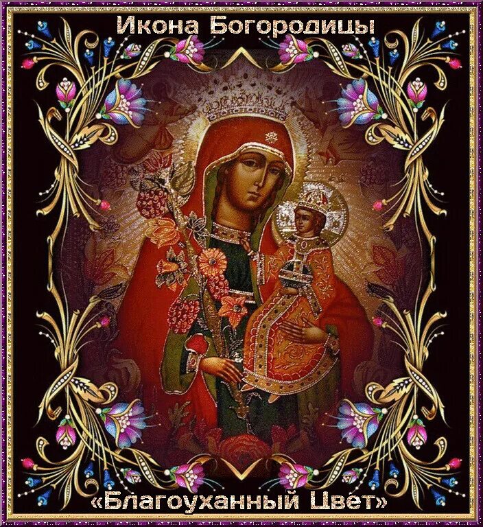 Икона это. Икона Пресвятой Богородицы благоуханный цвет. Благоуханный цвет икона Божией матери. Иконы Божией матери «благоуханный цвет» («Неувядаемый цвет»). Икона Пресвятой Богородицы милостивая (Одигитрия).