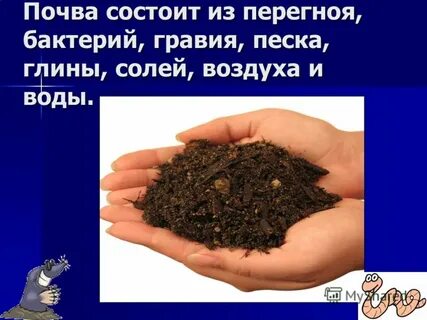 Проект грунт