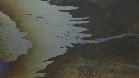Река может вытекать из моря