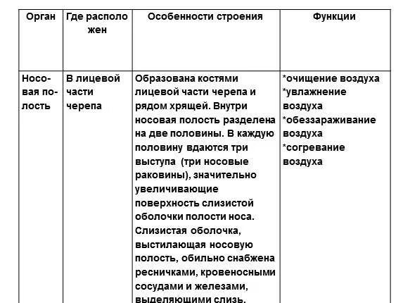 Название органа функции. Таблица по биологии 8 класс органы дыхания строение и функции. органы дыхания. таблица органы особенности строения функции.. строение и функции органов дыхания таблица 8 класс биология. дыхательная система таблица название строение функции.