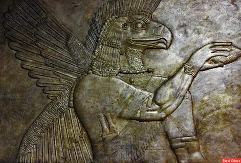 Enki
