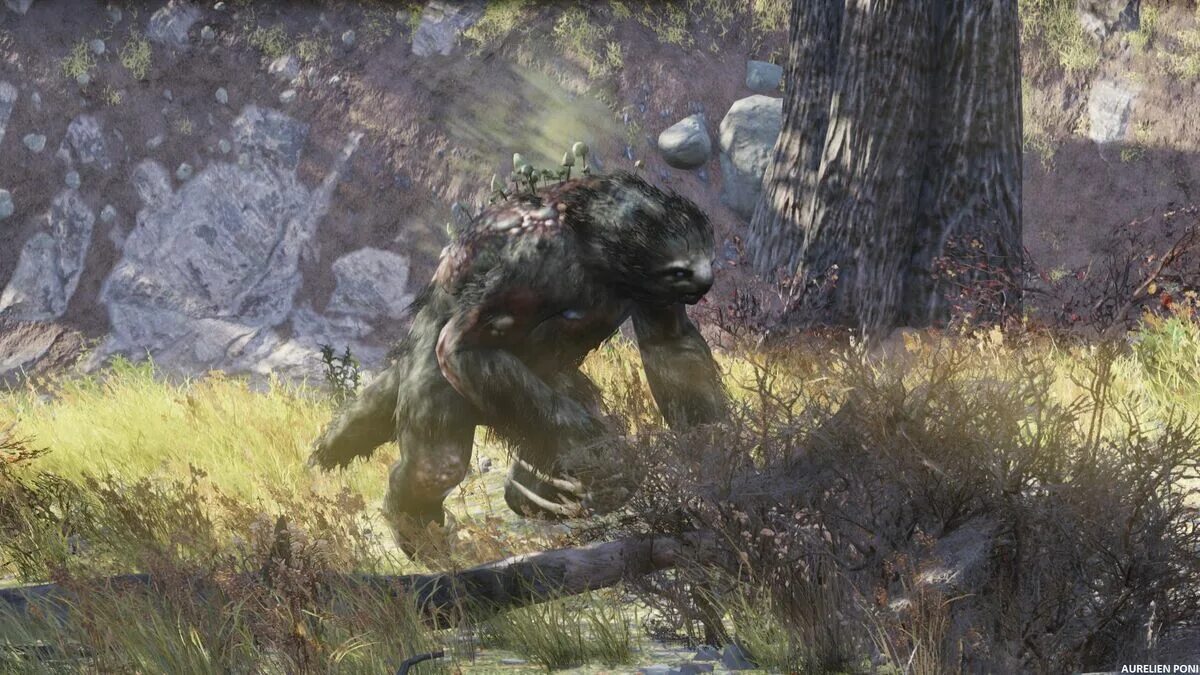 Fallout 76 медозверь где найти