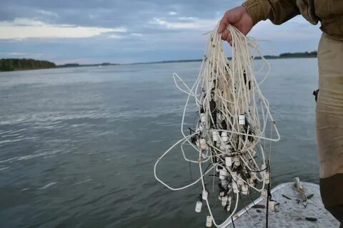 Рыбацкие промыслы