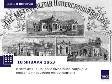 Первые линии отзывы