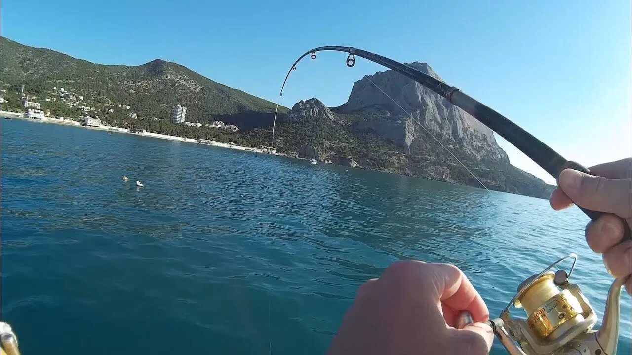 Черноморская рыбалка черное море. Черноморская рыбалка Сочи. Морская рыбалка на черном море с катера. Рыбалка в черном море с катера.