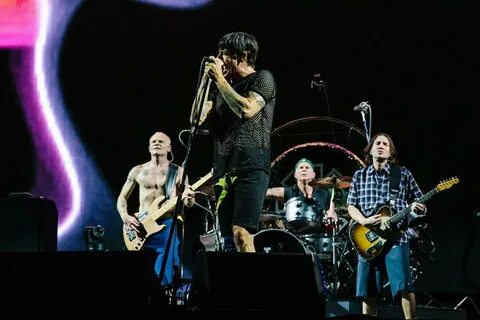 Chili peppers live