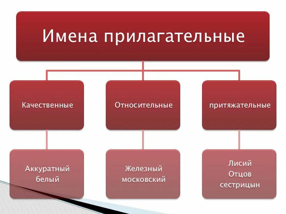 Три примера относительных прилагательных
