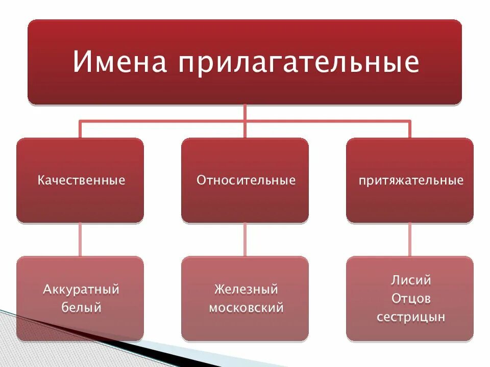 Качественные относительные и притяжательные прилагательные. Качественные прилагательные. Качественное относительное притяжательное. Качественные прилагательный.