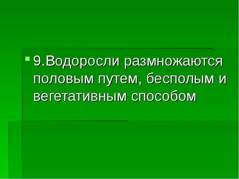 Водоросль размножается половым путем. Когда водоросли размножаются бесполым путём. Размножаются водоросли бесполым и половым путём... Водоросли. Когда водоросли. Размножаются. Бесполым. Путём. Водоросли размножаются путем