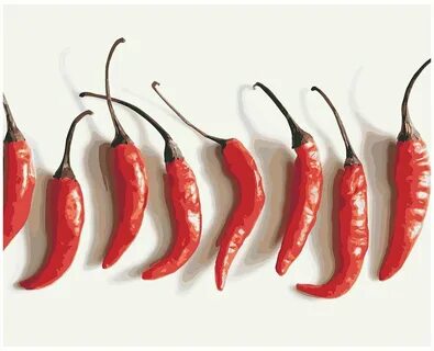 Chilli pepper
