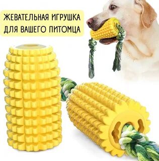 Можно собакам кукурузу
