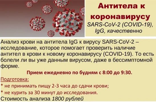 Какое количество антител должно быть. Антитела к коронавирусу. количество антител в крови. кровь на антитела к коронавирусу. норма антител у человека.