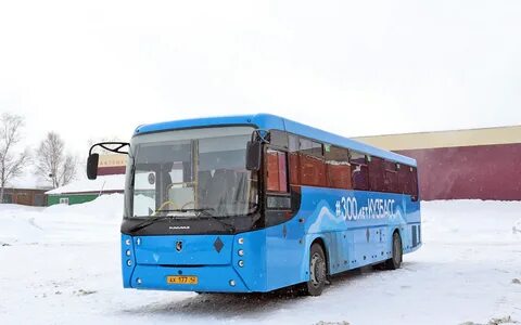 Нефаз 5299 52