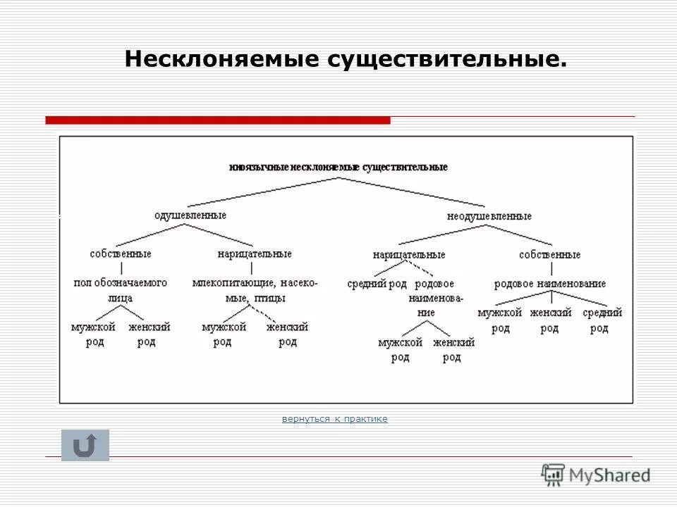 тест род несклоняемых имен существительных 6 класс
