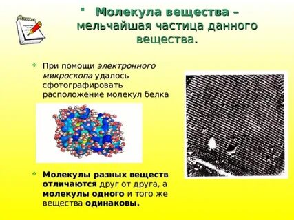 Молекулы различных веществ не отличаются друг