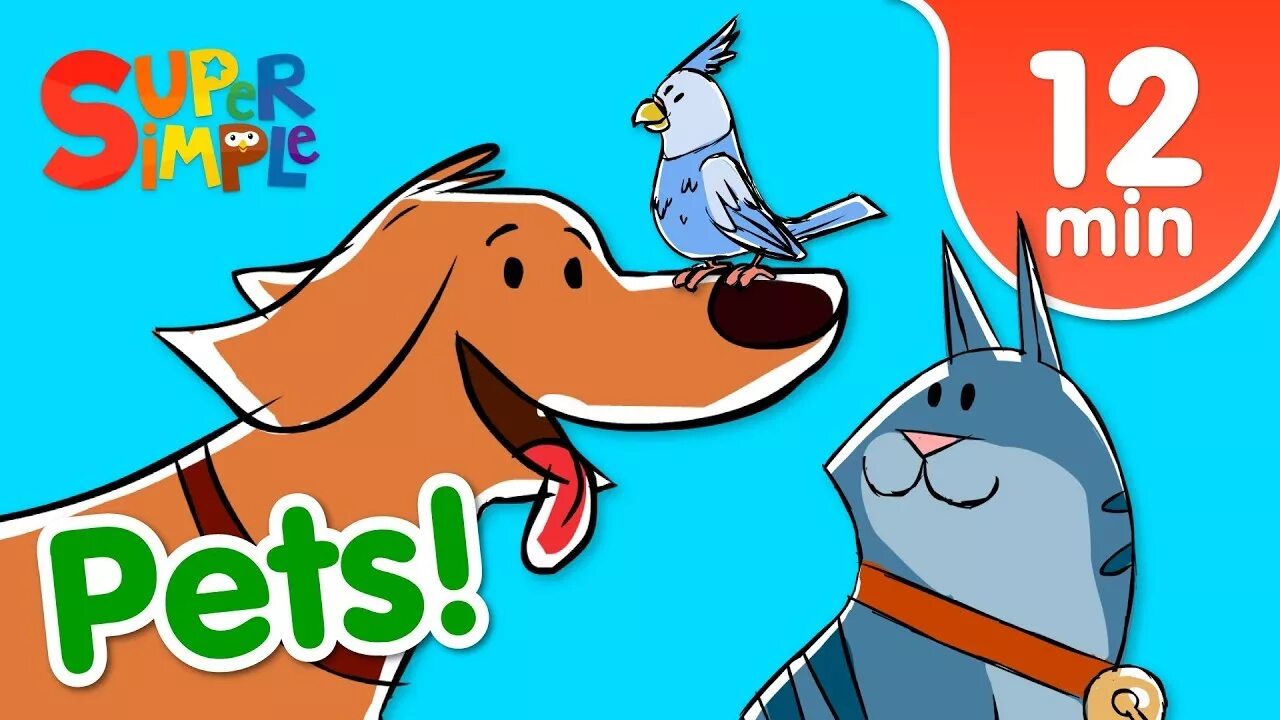 Песни петс. Pets Song. Pets for Kids. Super simple Song i have a Pet. Pets super simple Songs.