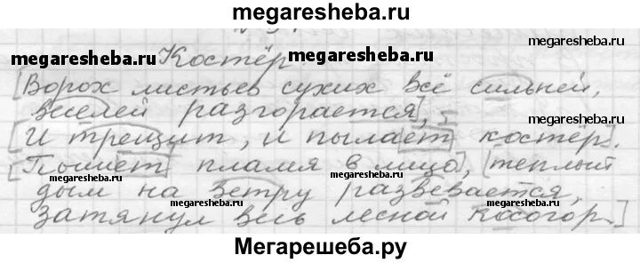 Упражнение 66. Русский язык учебник упражнение 66 6 класса. Русский язык 6 класс упражнение 66. Русский язык 6 класс упражнение 66 страница 31.