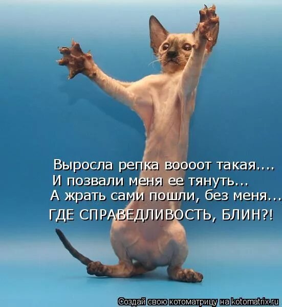 Последний день перед отпуском. Ура отпуск прикольные. Отпуск наконец то. Ну наконец то.