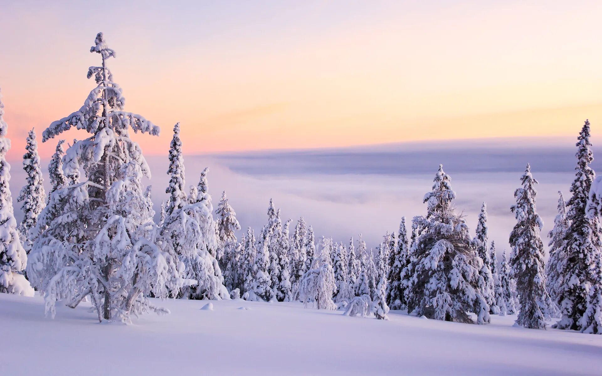 Зимние рабочие обои. Зимний пейзаж. Зимняя природа. Красивая зима. Красивый зимний лес.