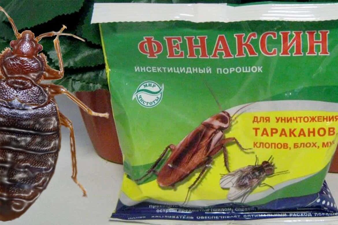 Чем травить клопов отзывы. Фенаксин от клопов. фенаксин 2. клопы чем травить лучшие средства.