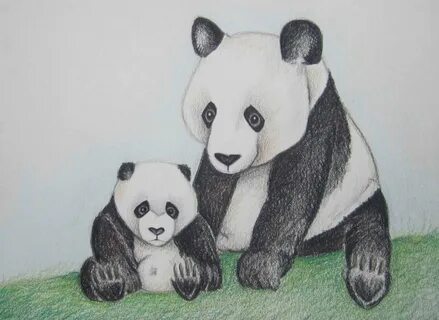Как нарисовать большую панду