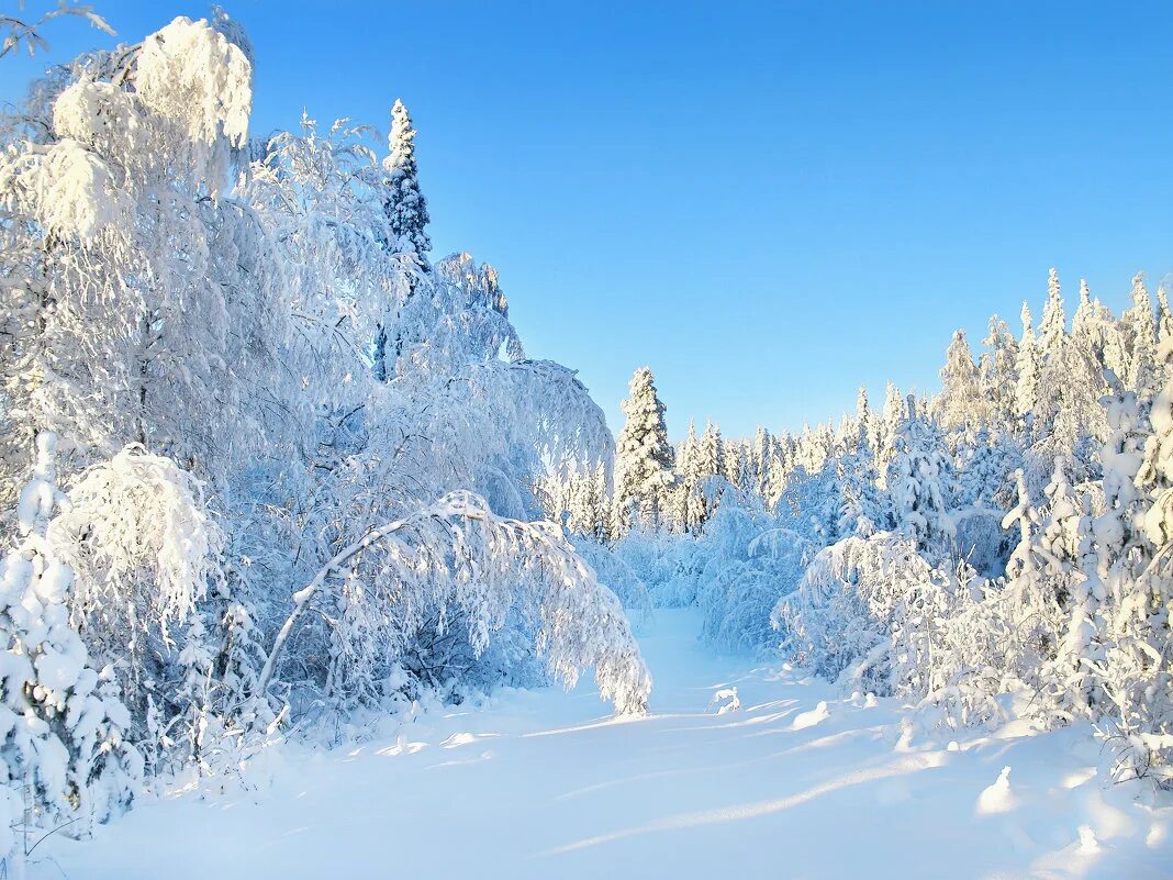 середина января природа. сахалин горы зима. 15 января середина зимы. середина зимы. середина зимы картинки.