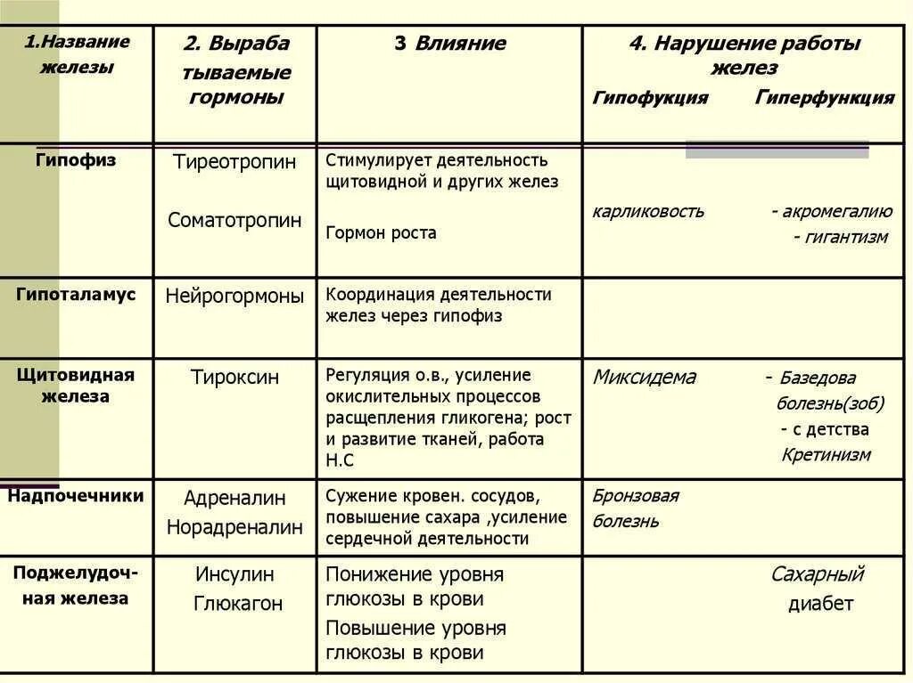 .Система желез внутренней секреции. Функции. Функции желез внутренней секреции железы. Функции эндокринная система железы внутренней секреции. Эндокринные железы таблица эндокринные железы гормоны функции. Назови 3 недостатка