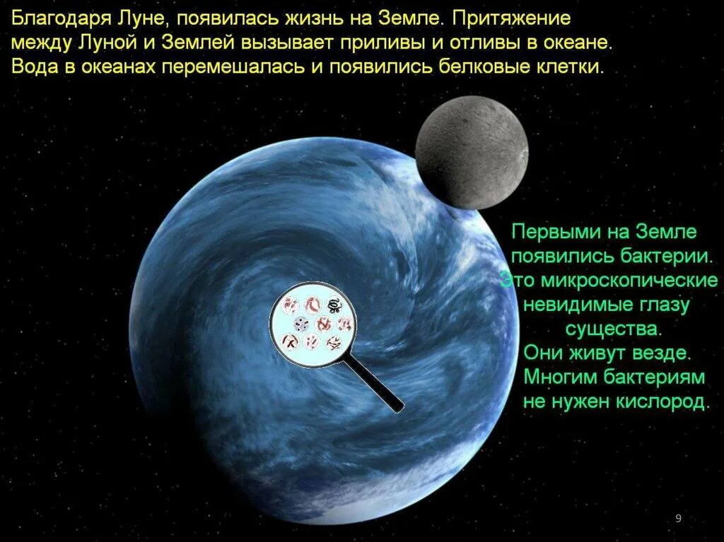 Сколько лет назад зародилась жизнь. Как появилась жизнь на земле. Появление жизни на земле для детей. Откуда появилась жизнь на планете земля. Как зародилась жизнь на земле для детей.