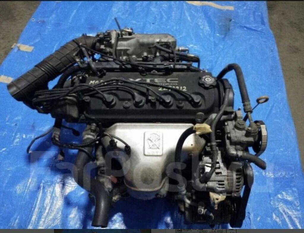 Двигатель Хонда Одиссей 2.3. Двигатель Хонда f23a2. Двигатель ф23а Хонда Одиссей. ДВС Хонда Одиссей 2.3.