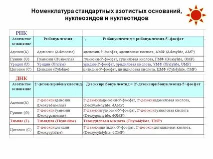 Номенклатура 2017
