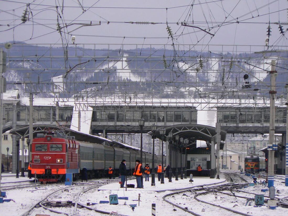 Плодово-ягодная станция красноярск. Гну свердловская селекционная станция садоводства. Плодовая станция. Плодовая станция. Плодово-ягодная станция.