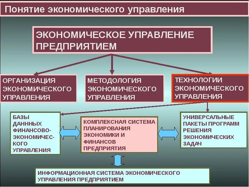 Экономика управления данными