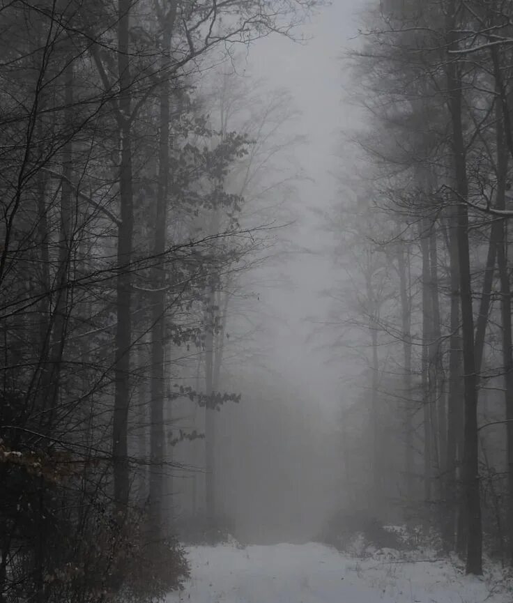 Темнота зимнего утра скрывала и площадку. Темный зимний лес. Темная зима. Зима Темнота. Темный лес зима.