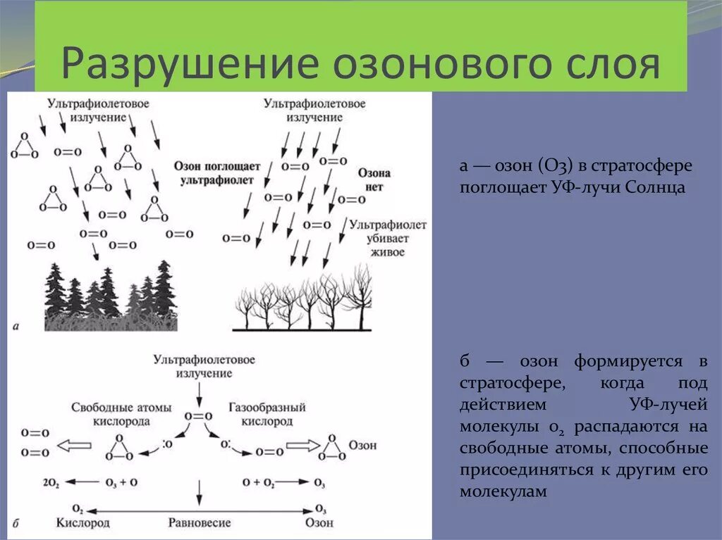 Разрушение озонового слоя схема. Механизм образования озона. Механизм разрушения озонового слоя. Схема образования озона. Реакция разрушения озонового слоя