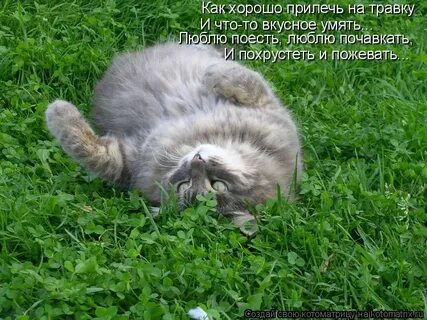 Как хорошо прилечь на травке