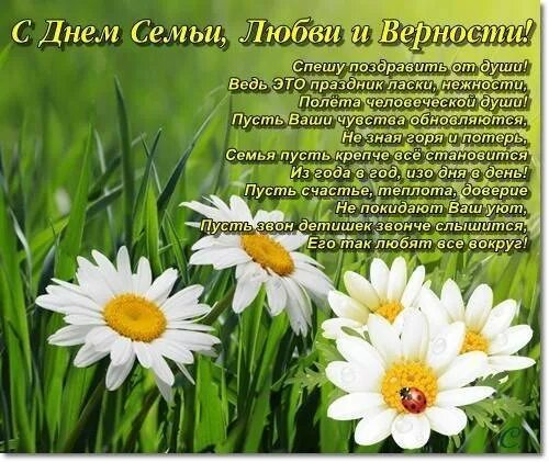 С днём семьи поздравления. С днём семьи любви и верности. День семьи любви и верности ромашка. Красивое поздравление с днем семьи. Поздравление с днем любви и верности.
