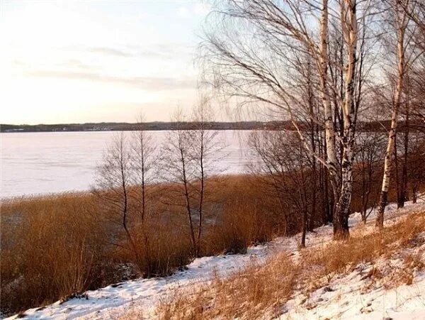 Под плотным снегом отдыхает. Перед весной бывают дни такие н. м. рубцов. Перед весной. Дерево перед весной. Стихотворение перед весной.