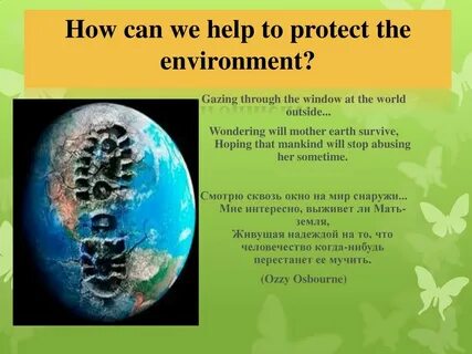 Friendly to the environment перевод