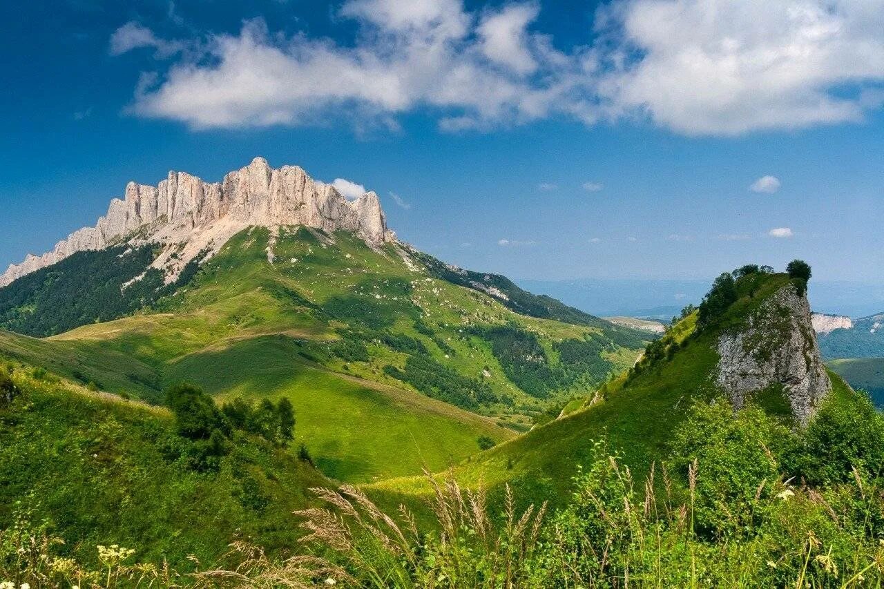 Гора Тхач Краснодарский край. Тхач Адыгея. Краснодарский край горы большой Тхач. Краснодарские горы Лагонаки. Адыгею прославила удивительная природа егэ