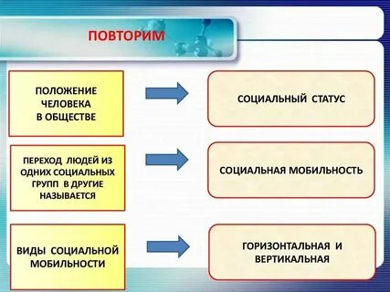 Человек может входить в различные группы общества
