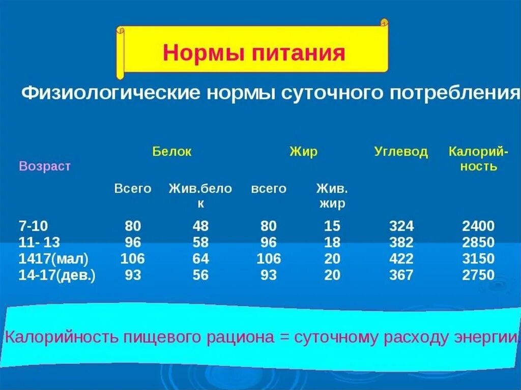 Как рассчитать норму белков в день. Физиологические нормы энергетической ценности рационов питания. Нормы питательных веществ в суточном рационе. Норматив суточного рациона питания. Суточная норма питания.