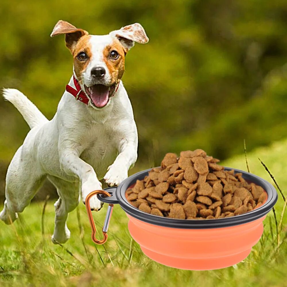 Dog bowls