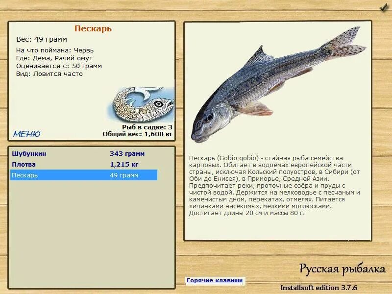 Реальная рыбалка пескарь. Реальная рыбалка пескарь