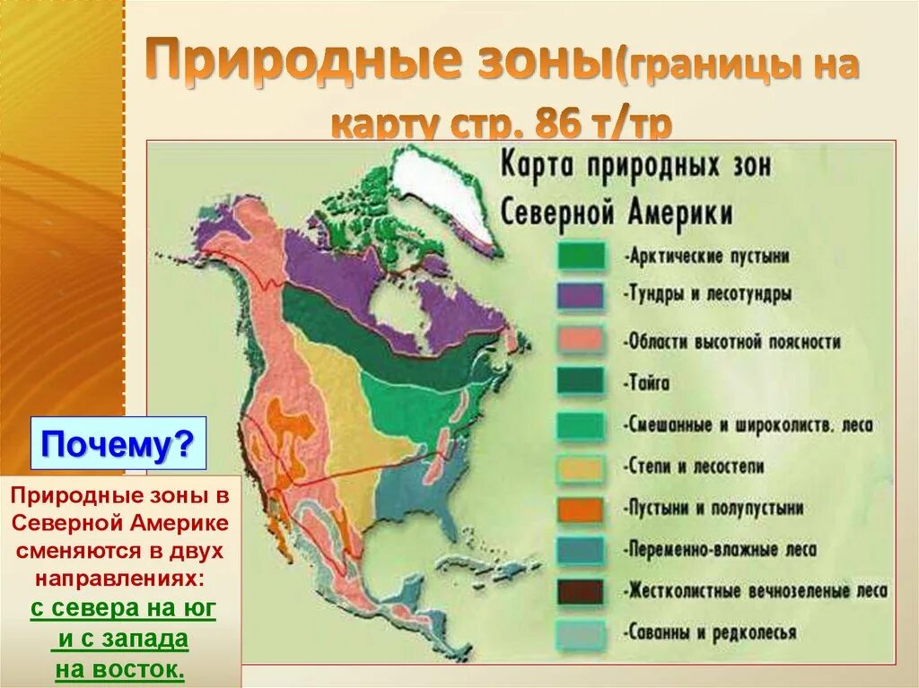 Природные зоны канады занимающие наибольшую площадь. Природные зоны. Природные зоны Северной Америки. Карта природных зон Северной Америки. Природные зоны США С севера Наюн.