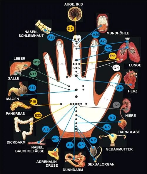 Биологически активные точки на руках. Биоактивные точки на ладони. Точки акупунктуры на руках. Акупунктурные точки на ладони. Китайская медицина руки