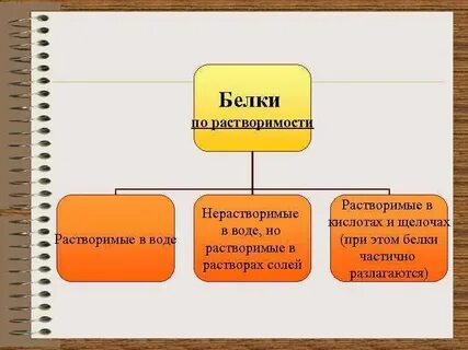 Яичный белок растворяется в воде