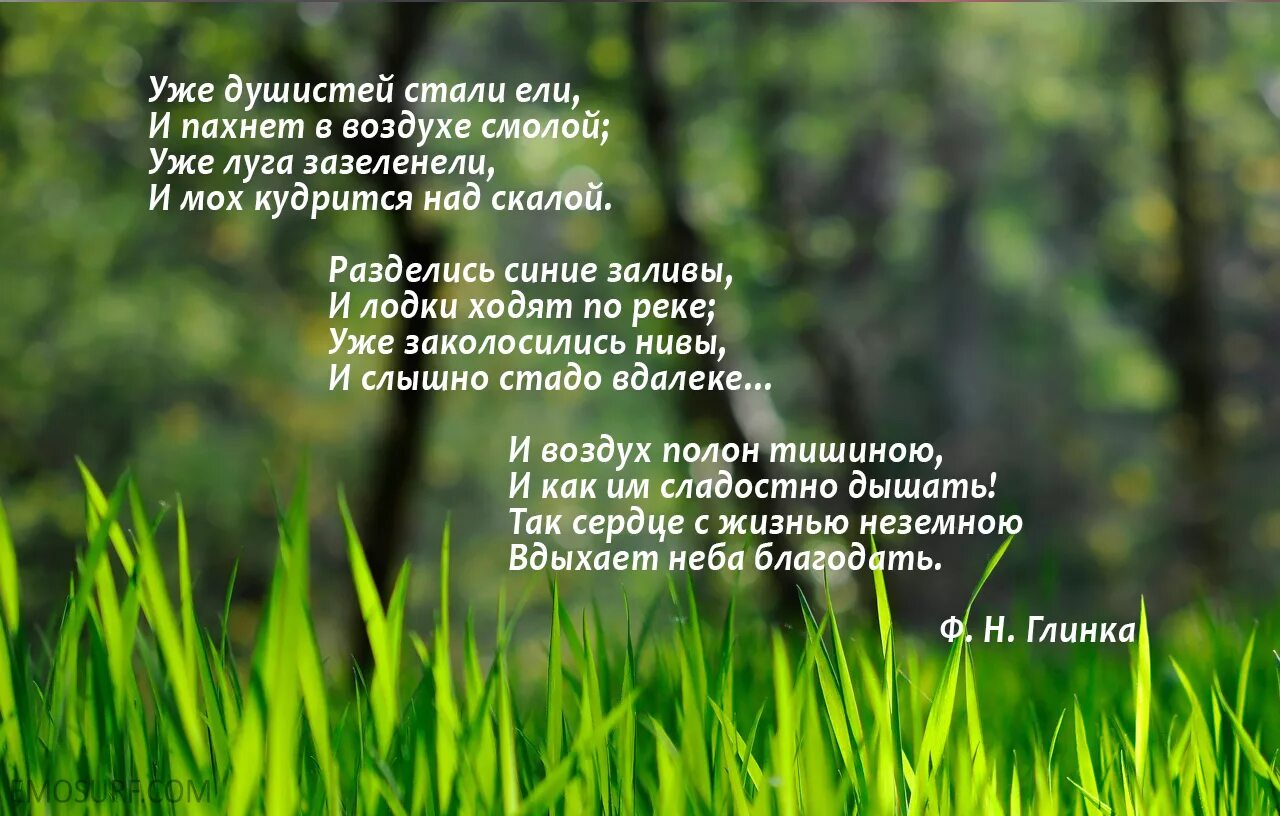 Стихи о весне красивые. Красивое стихотворение о весне. Красивые стихи о природе. Красивые стихотворения о весенней природе.