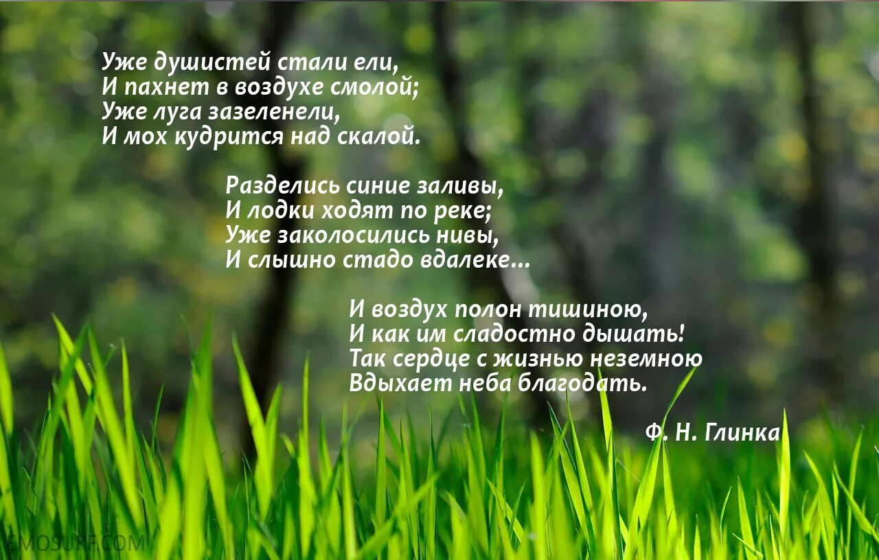 Стихотворение о весне 8 класс. Стихи о весне красивые. Красивое стихотворение о весне. Красивые стихи о природе. Красивые стихотворения о весенней природе.