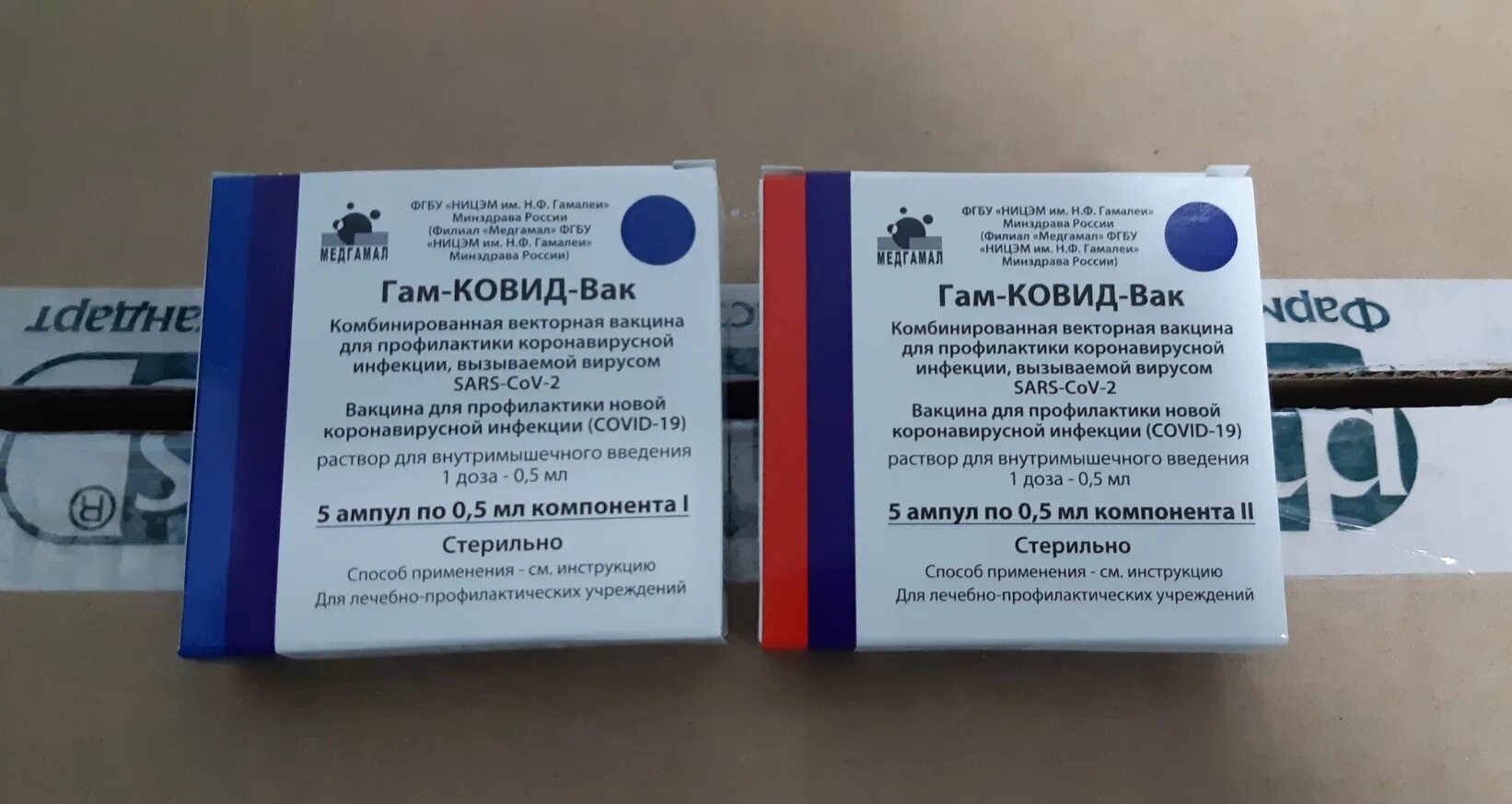 Москва сколько ковида. Ковид ВАК вакцина. Гамм-ковид-ВАК вакцина. Вакцина гамма ковид. Вакцина от коронавируса гам-ковид-ВАК.