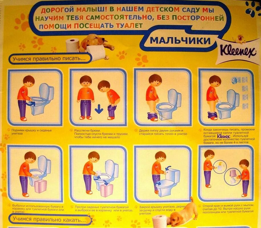 Как правильно учить. Как правильно писать. Правило посещение туалета в детском саду. Плакат в туалет. Алгоритм посещения туалета.